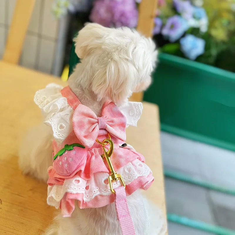 Pet Cat Cute Strawberry Dog Harness Thin Denim Traction Skirt Princess Small Dog Teddy Bear Can Traction Spring