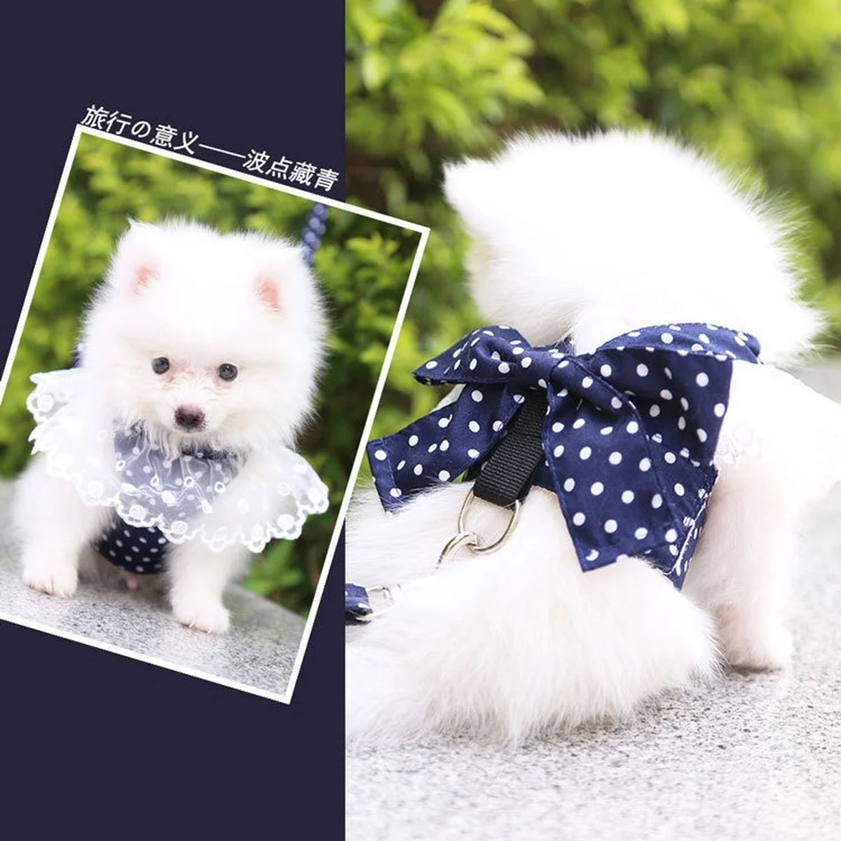 Dog Harness Beautiful Lace Cat Leash Bow Knot Chest Strap Dog Collar Pet Supplies Accessories Dog Leash Red Bow