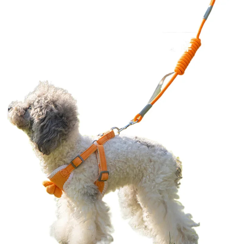 Dog Harness with 1.2m Leash Set Adjustable Pet Harness For Puppy Cats Chihuahua French Bulldog Outdoor Walking Lead Leash