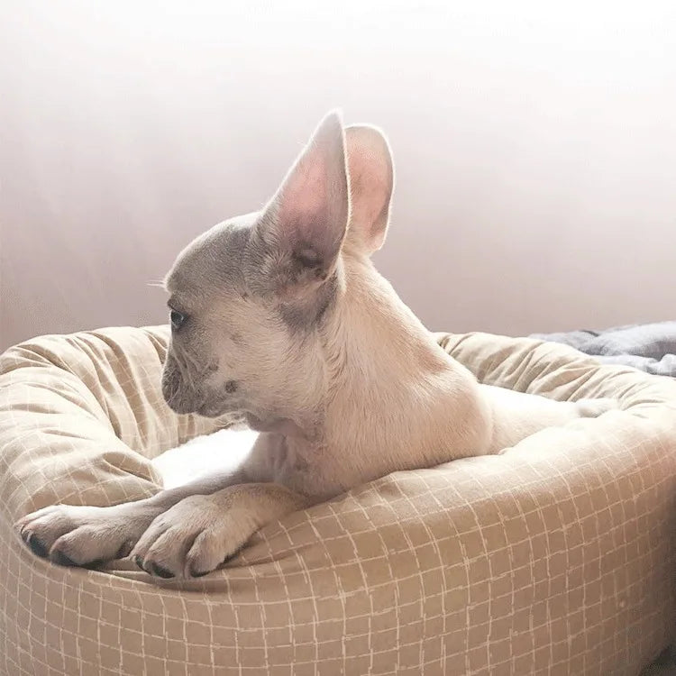 All-Season Pet Bed - Summer Cat Mat & Dog Cushion with Cotton Padding | Versatile Pet Furniture for Indoor Comfort & Rest