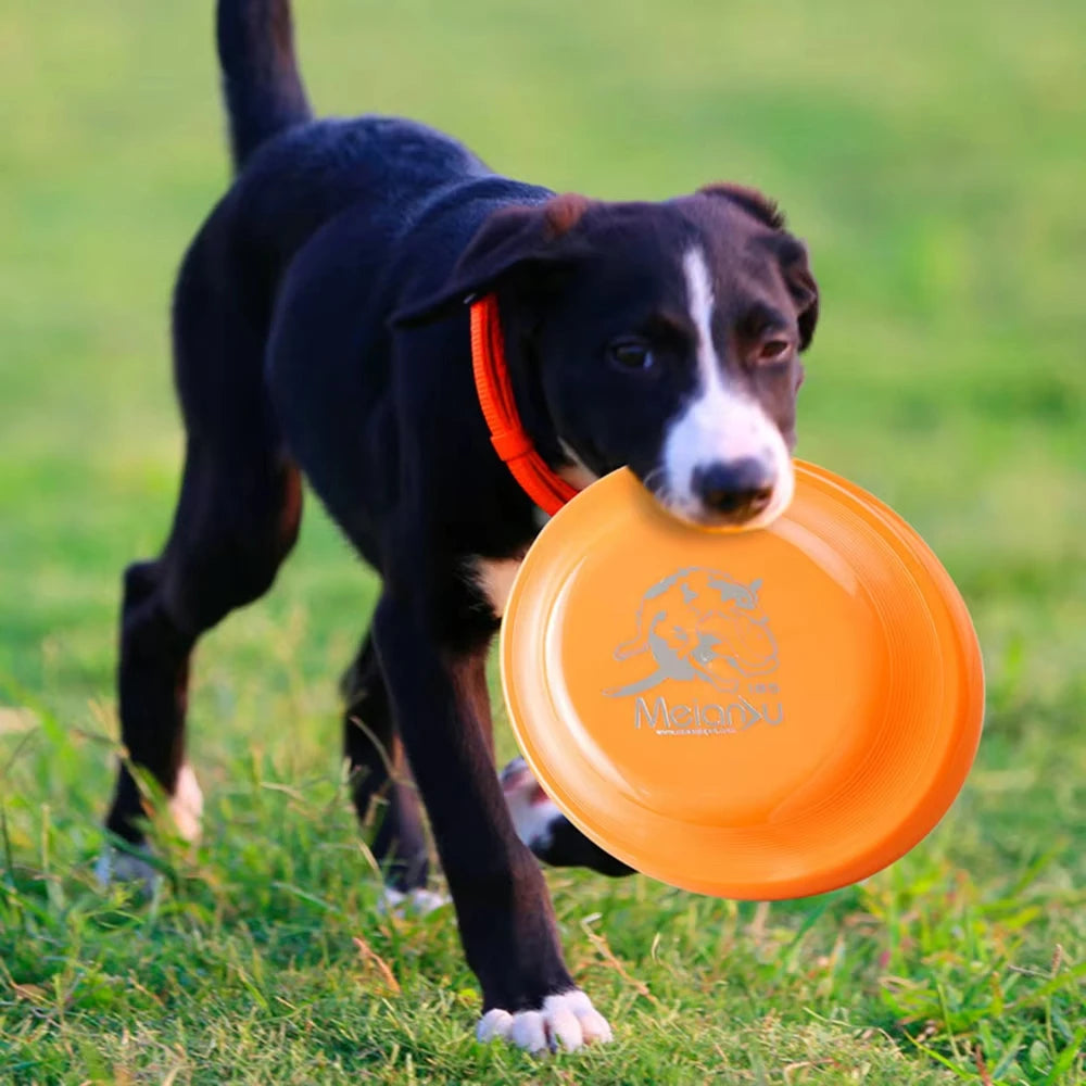 Dog Training Disc - Durable Pet for Puppy & Adult Dog Training, Lightweight Easy-Catch Dog Training Toy, Essential Pet Supplies