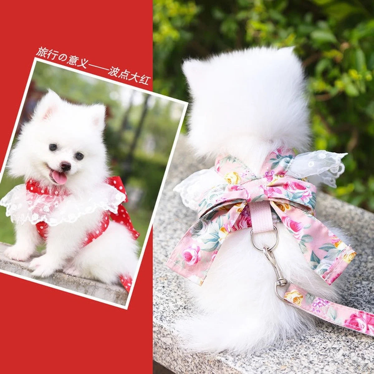 Dog Harness Beautiful Lace Cat Leash Bow Knot Chest Strap Dog Collar Pet Supplies Accessories Dog Leash Red Bow