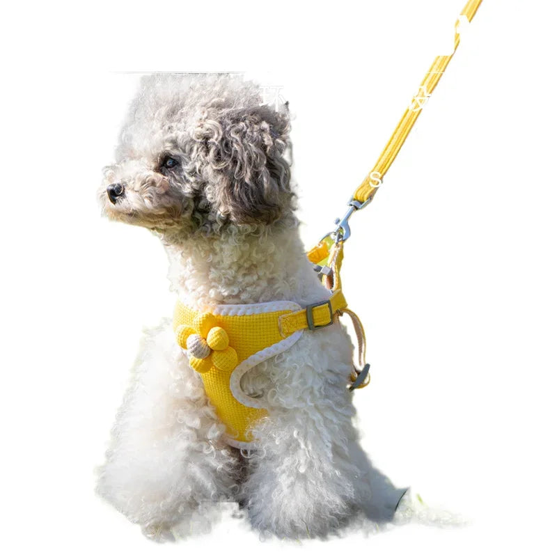 Dog Harness with 1.2m Leash Set Adjustable Pet Harness For Puppy Cats Chihuahua French Bulldog Outdoor Walking Lead Leash