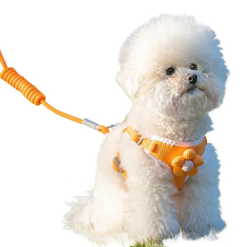 Dog Harness with 1.2m Leash Set Adjustable Pet Harness For Puppy Cats Chihuahua French Bulldog Outdoor Walking Lead Leash