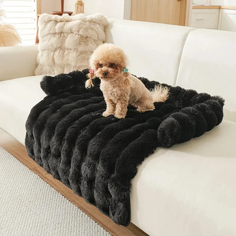 Dog Beds for Large Dogs Small Breeds Accessory Pet Supplies Basket Bed Medium Baskets Puppy Accessories Big Cushions Bedding