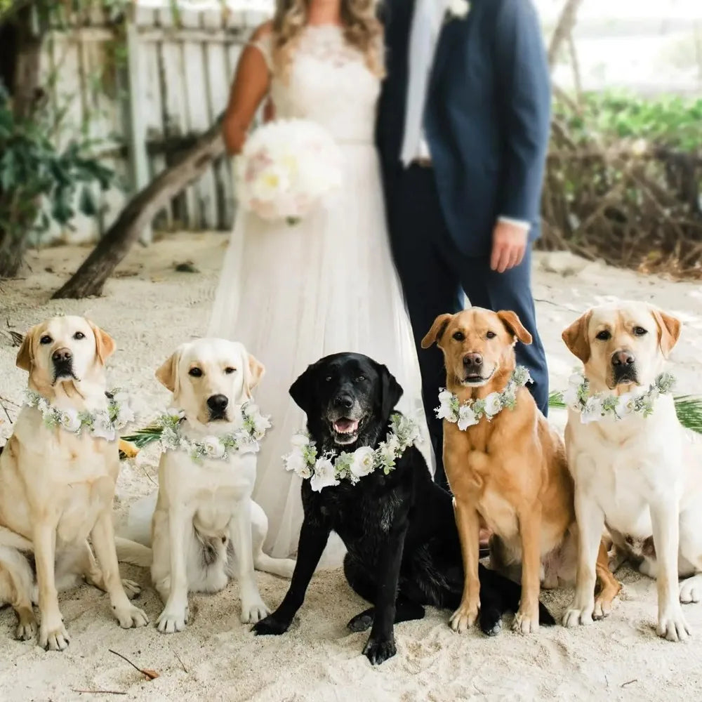 Adjustable Elegant Flower Dog Collar for Medium Large Dogs Cats Wedding Photo Props Pet Costume Accessories