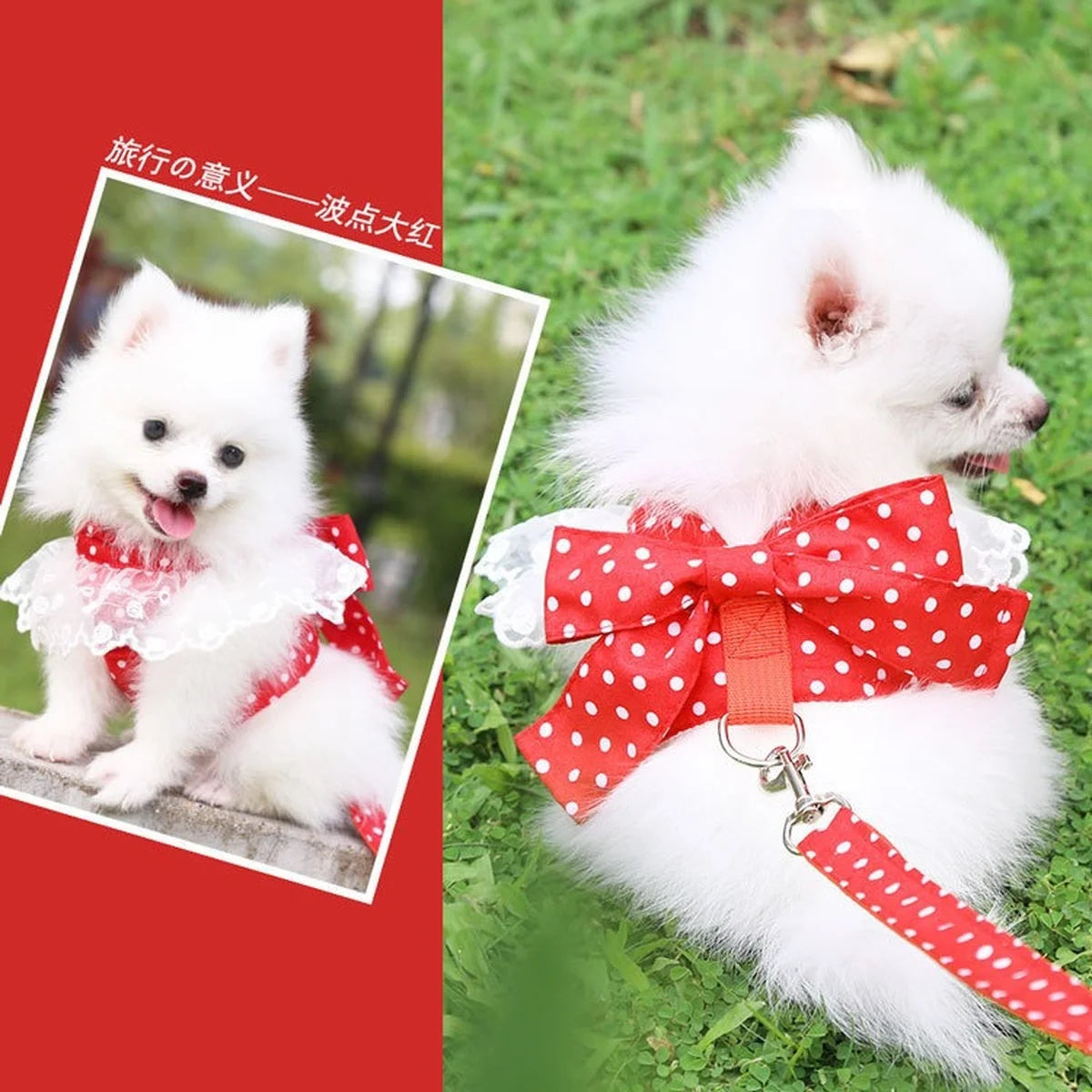 Dog Harness Beautiful Lace Cat Leash Bow Knot Chest Strap Dog Collar Pet Supplies Accessories Dog Leash Red Bow