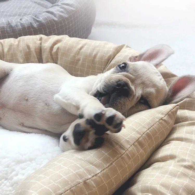 All-Season Pet Bed - Summer Cat Mat & Dog Cushion with Cotton Padding | Versatile Pet Furniture for Indoor Comfort & Rest